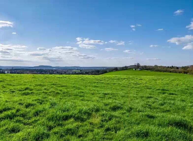 Fazenda Cachoeira Rica — Sítio / Fazenda