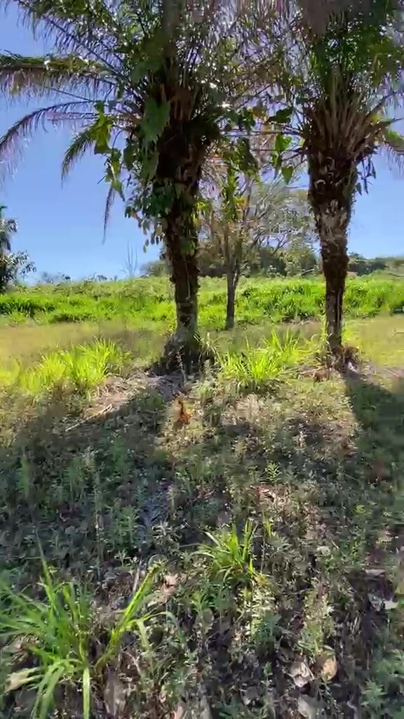 Terrenos Morro dos Ventos — Terreno